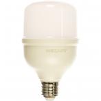 Лампа светодиодная высокомощная 30Вт E27 (+переходник E40) 2850Лм AC140~265В 6500K REXANT (604-069)