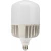  - Лампа светодиодная высокомощная 100Вт E27 (+переходник E40) 9500Лм AC140~265В 6500K REXANT (604-072)
